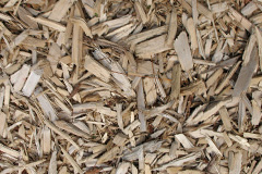 biomass boilers Agbrigg